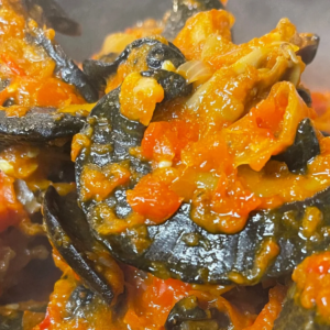 Peppered Snail