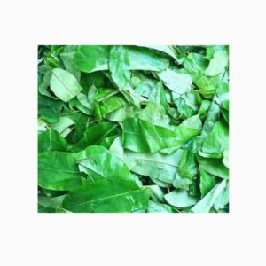 Oha Leaf