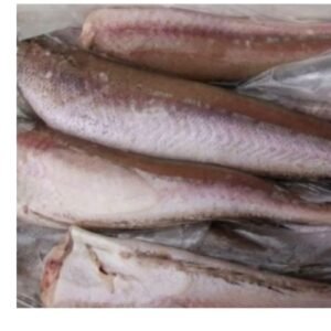 Whiting Fish