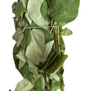 Uziza Leaf